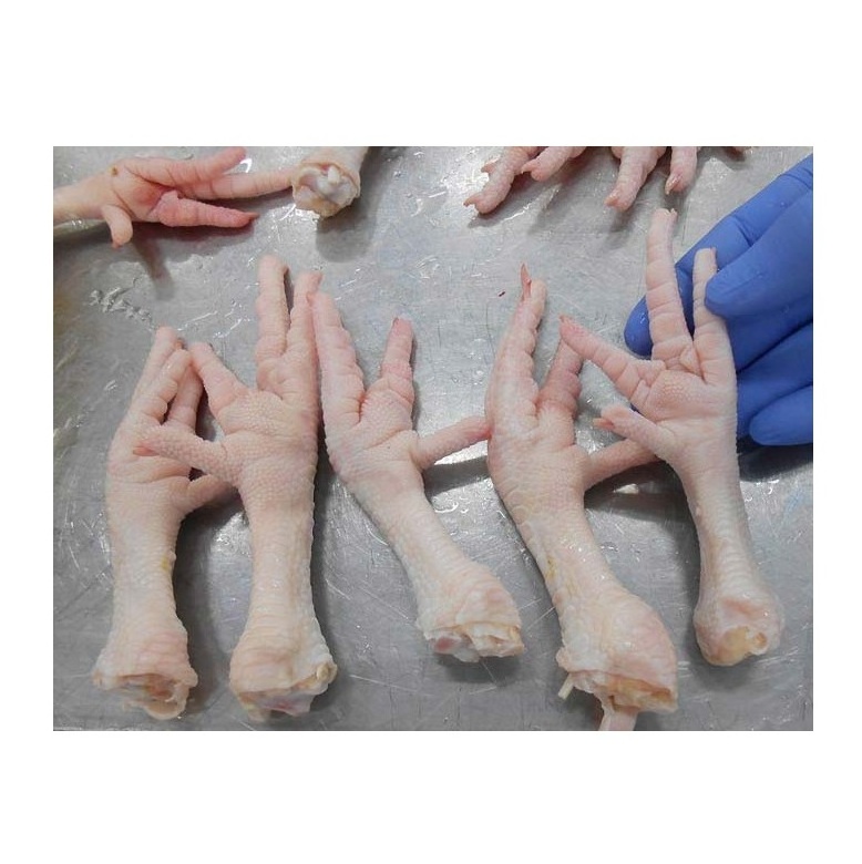 Whole Chicken / Frozen chicken feet/ Frozen chicken paws Bulk Best Price