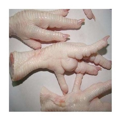 Whole Chicken / Frozen chicken feet/ Frozen chicken paws Bulk Best Price