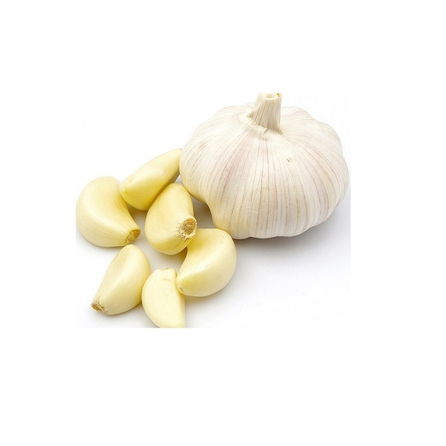 100% Natural Quality Fresh White Garlic Fresh Vegetable Bulk Garlics For Sale