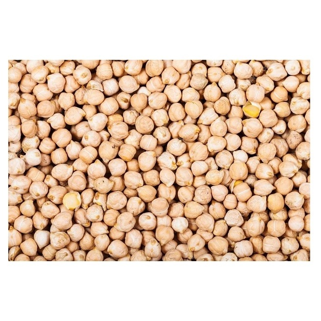 Hot Selling Price Organic Dried Chickpeas in Bulk