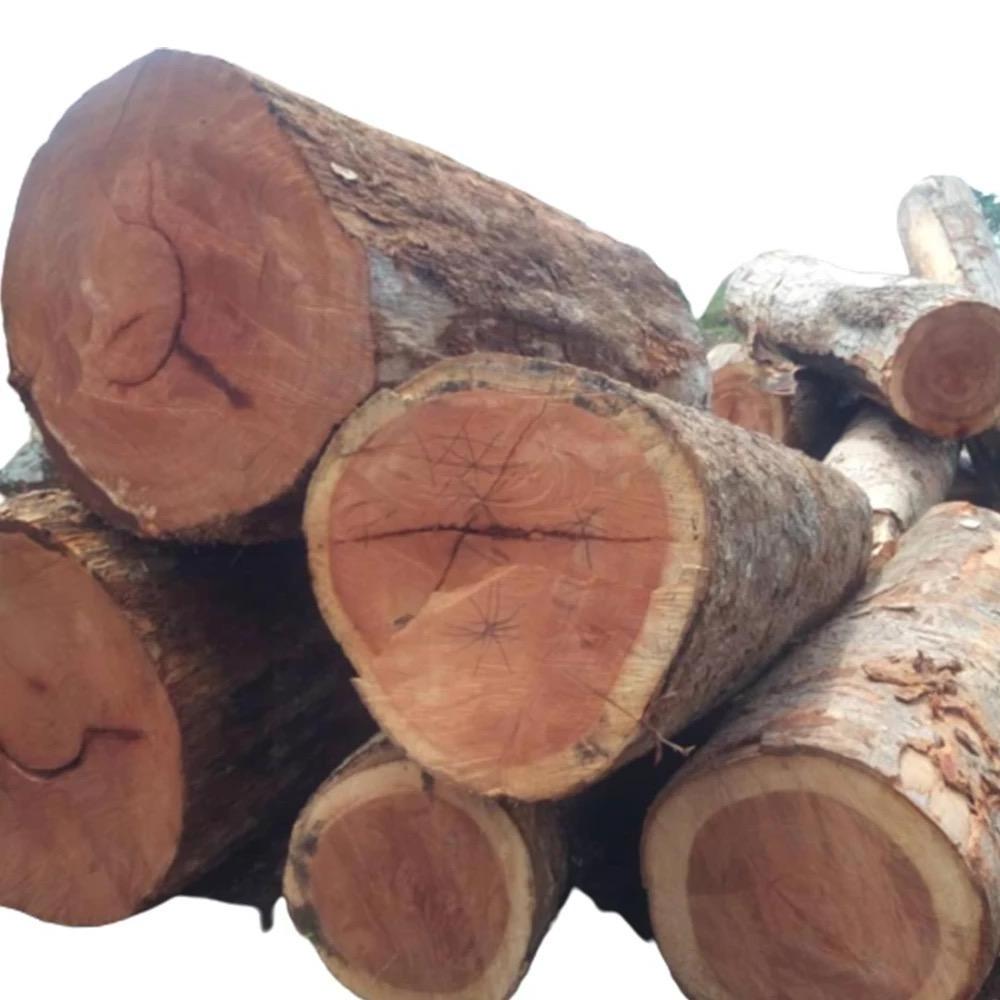 Top Grade Teak Wood Timber Bulk Quality Dry Round Teak Logs Durable Natural Teak Wood Logs Timber For Sale in best price