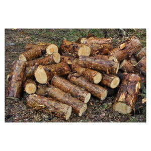 Wholesale Custom Teak Wood Logs Pine and Red hard wood/Hot Sales eucalyptus wood log with cheap price