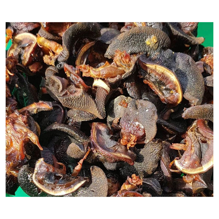 Cheap price Dried African Giant Snails/Processed Dried Snails for sale Dried and Smoked Snails/ Frozen Snails