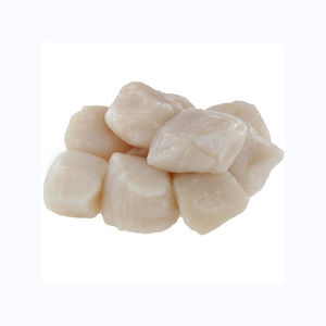 High Quality Strict Screening Fresh Pen Shell Scallops Taste Delicious Frozen Sea Scallops Shellfish Frozen Fresh Half Shell Sca