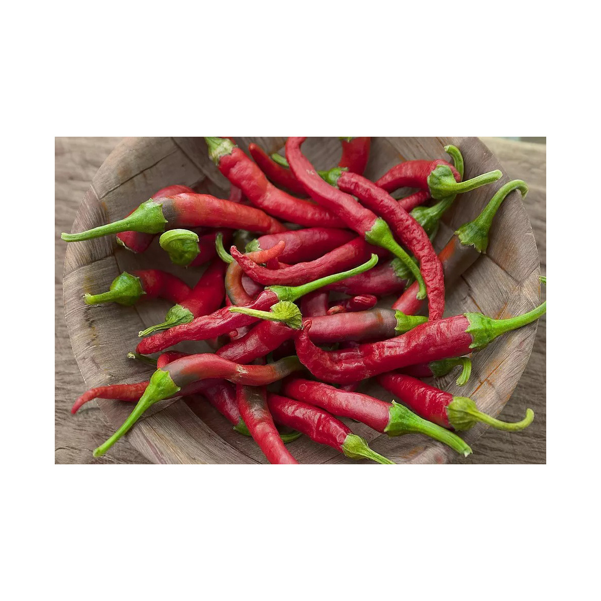 Wholesale Supplier Best Quality Chili Pepper Seeds For Sale In Cheap Price high quality natural dry red hot chili Wholesale Deal