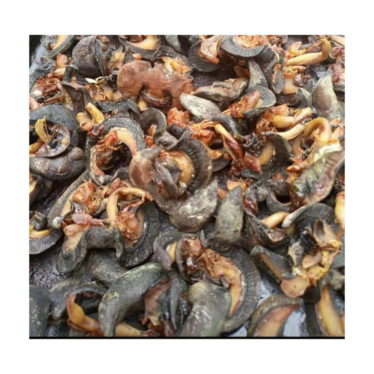 High Quality Edible Snails Dries Snails Giant African Land Snails for sale Frozen Dried Frozen