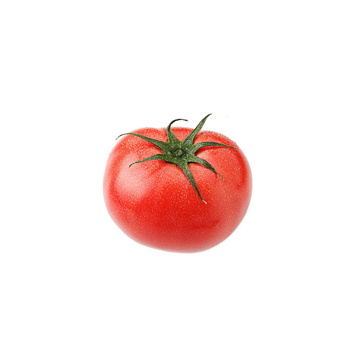 New Arrival Highest Quality Organic Fresh Red Tomatoes from Trusted Global Manufacturer and Exporter Fresh Tomatoes Wholesale Su