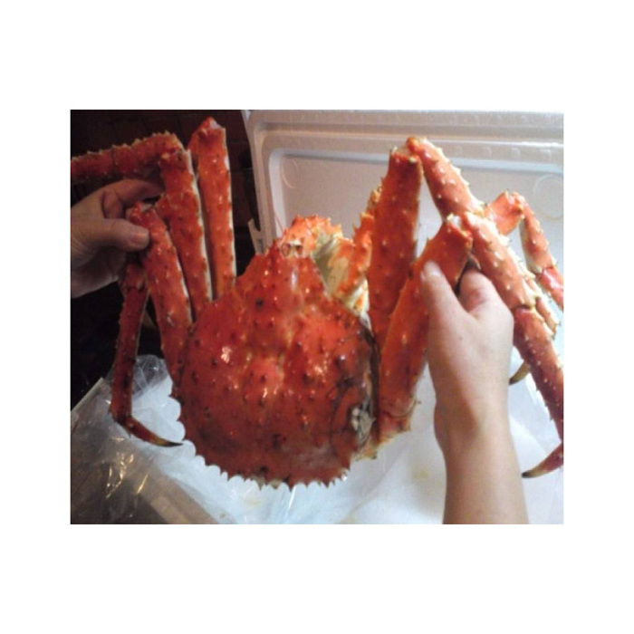 Top Competitive Wholesale Hot Rate Premium Quality Red King Crab Legs With Clusters Cheap Price Live Red King Crab/Live Mud Crab