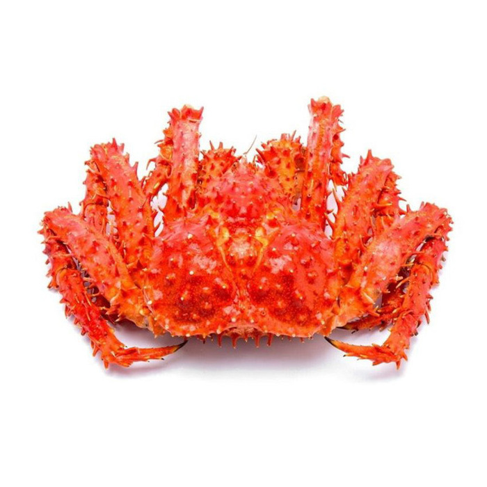 Top Competitive Wholesale Hot Rate Premium Quality Red King Crab Legs With Clusters Cheap Price Live Red King Crab/Live Mud Crab