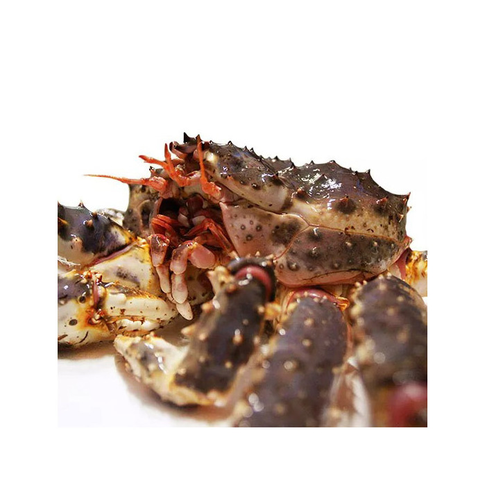 Top Quality Norwegian Frozen King Crab Supplier / Live King Crabs For Sale in Bulk Red Norwegian King Crab/Frozen King Crab