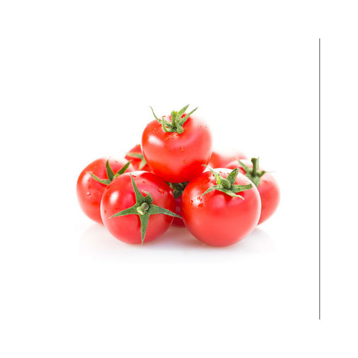 New Arrival Highest Quality Organic Fresh Red Tomatoes from Trusted Global Manufacturer and Exporter Fresh Tomatoes Wholesale Su