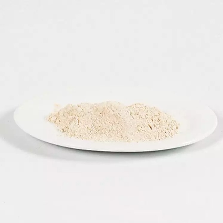 Rice gluten meal replacing portions of expensive soybean meal Rice gluten meal contains an above average amino acid Rice Protein