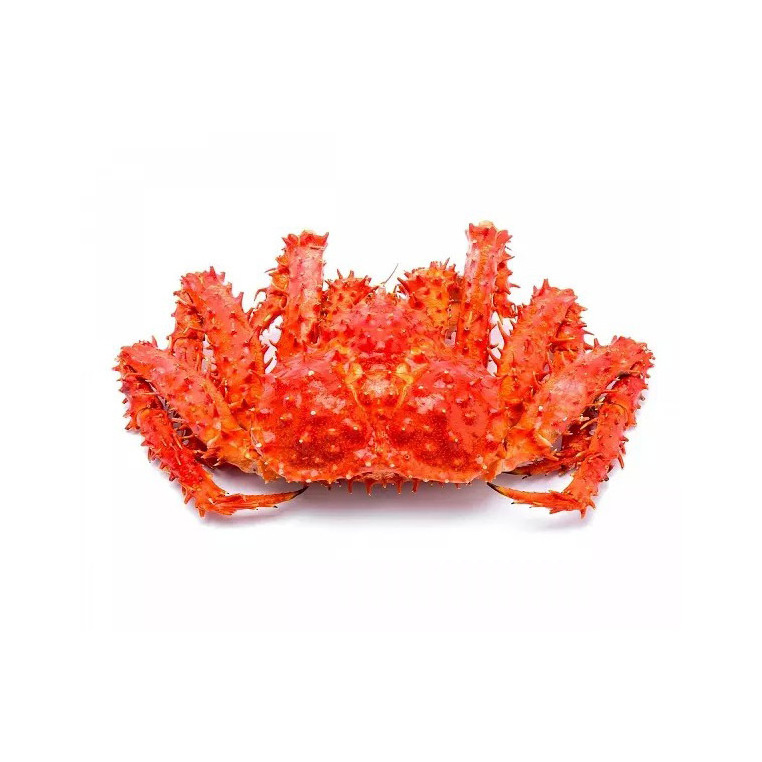 Top Quality Norwegian Frozen King Crab Supplier / Live King Crabs For Sale in Bulk Red Norwegian King Crab/Frozen King Crab