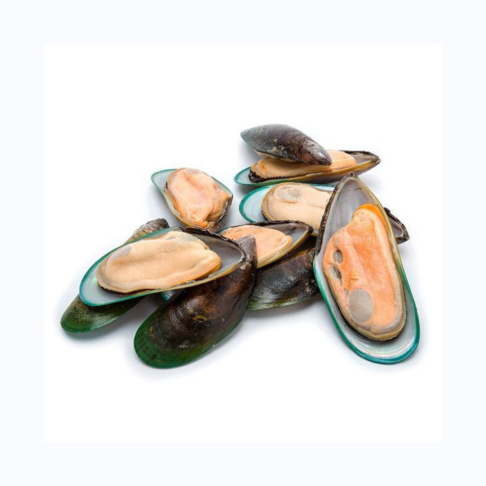 seafood shellfish frozen half shell mussel Frozen half mussels blue mussel shells with meat high quality  Bulk Quality Frozen Sh