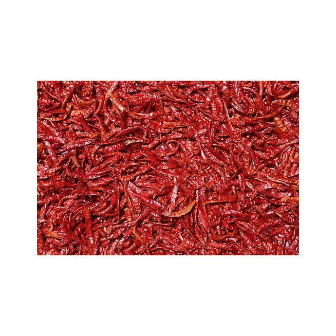 Wholesale Supplier Best Quality Chili Pepper Seeds For Sale In Cheap Price high quality natural dry red hot chili Wholesale Deal