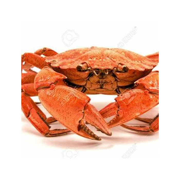 Top Competitive Wholesale Hot Rate Premium Quality Red King Crab Legs With Clusters Cheap Price Live Red King Crab/Live Mud Crab