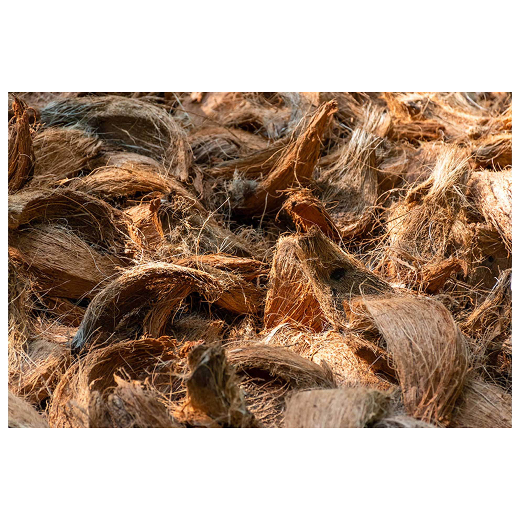 Natural Coconut Fiber Coconut Coir Liner Sheets  Top Selling High Quality Export Oriented Of Coconut Fiber Coco Fiber Oriented W