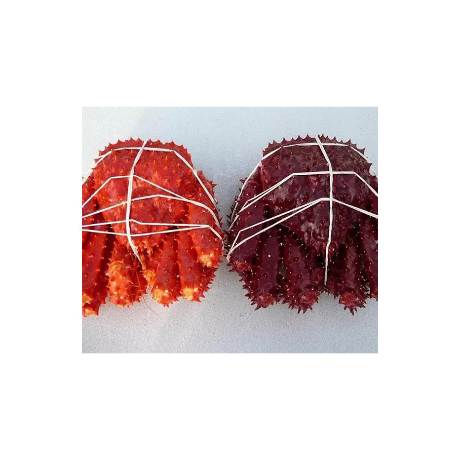 Top Quality Norwegian Frozen King Crab Supplier / Live King Crabs For Sale in Bulk Red Norwegian King Crab/Frozen King Crab