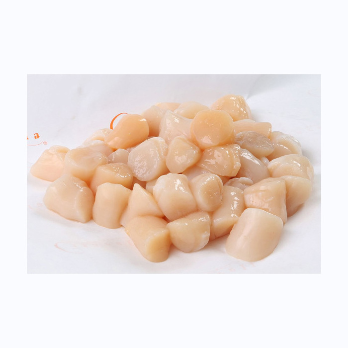 High Quality Strict Screening Fresh Pen Shell Scallops Taste Delicious Frozen Sea Scallops Shellfish Frozen Fresh Half Shell Sca