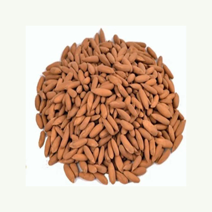 Organic cheap bulk open pine nut/pine seed/pine nuts in shell Gud Nature Pine Nuts Wild Pine Nuts Organic Pine Nuts Kernels With