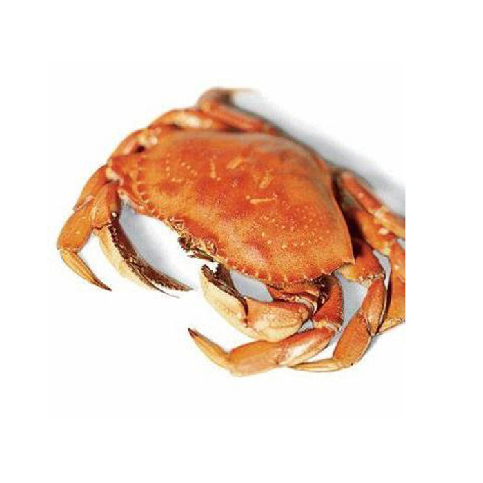 Top Competitive Wholesale Hot Rate Premium Quality Red King Crab Legs With Clusters Cheap Price Live Red King Crab/Live Mud Crab