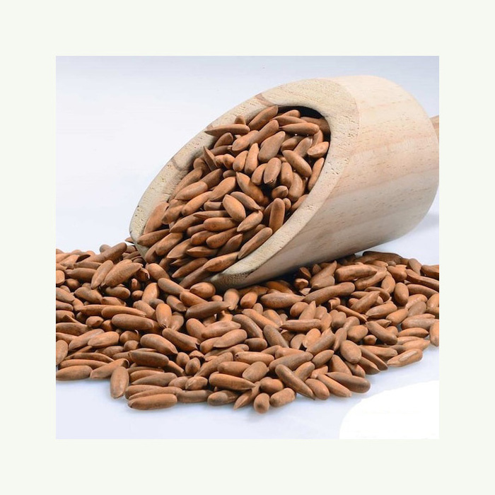 Organic cheap bulk open pine nut/pine seed/pine nuts in shell Gud Nature Pine Nuts Wild Pine Nuts Organic Pine Nuts Kernels With