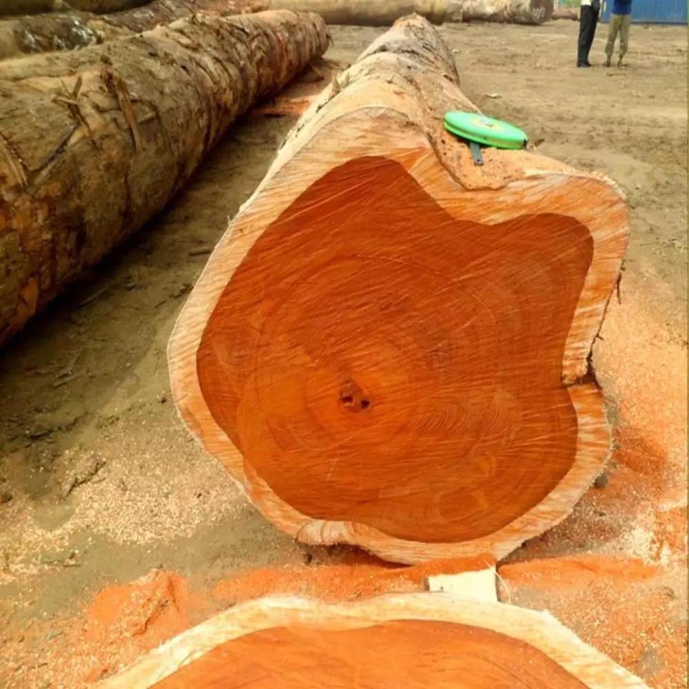 Top Quality Red Oak Log Timber Bulk Quality Red Oak Logs Timber Sawlogs Wood Red Oak Round Logs For Sale Best Grade Natural Euca