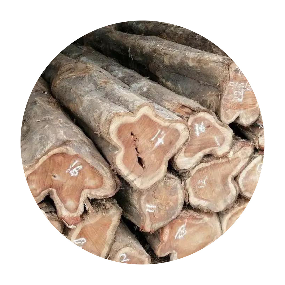 Top Grade Teak Wood Timber Bulk Quality Dry Round Teak Logs Durable Natural Teak Wood Logs Timber For Sale in best price