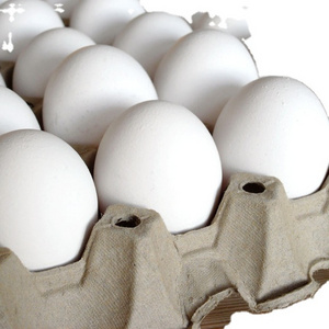 Cheap Farm Fresh White Shell Chicken Eggs Table Organic Fresh Chicken Table Eggs Fertilized Hatching Eggs