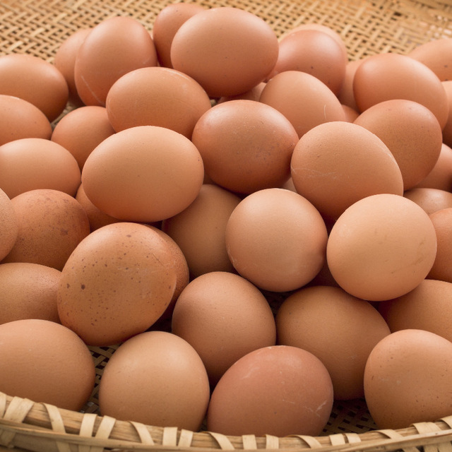 Cheap Farm Fresh White Shell Chicken Eggs Table Organic Fresh Chicken Table Eggs Fertilized Hatching Eggs