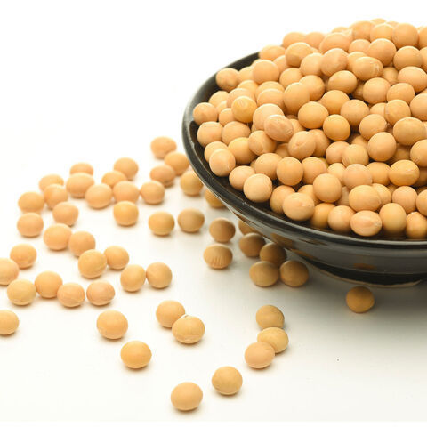 High Quality Non GMO Yellow Soybeans - Soybeans /Soya Bean (8.0mm) for food and animal feed production