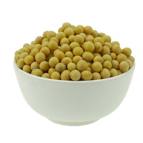 High Quality Non GMO Yellow Soybeans - Soybeans /Soya Bean (8.0mm) for food and animal feed production