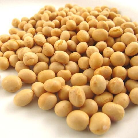 High Quality Non GMO Yellow Soybeans - Soybeans /Soya Bean (8.0mm) for food and animal feed production