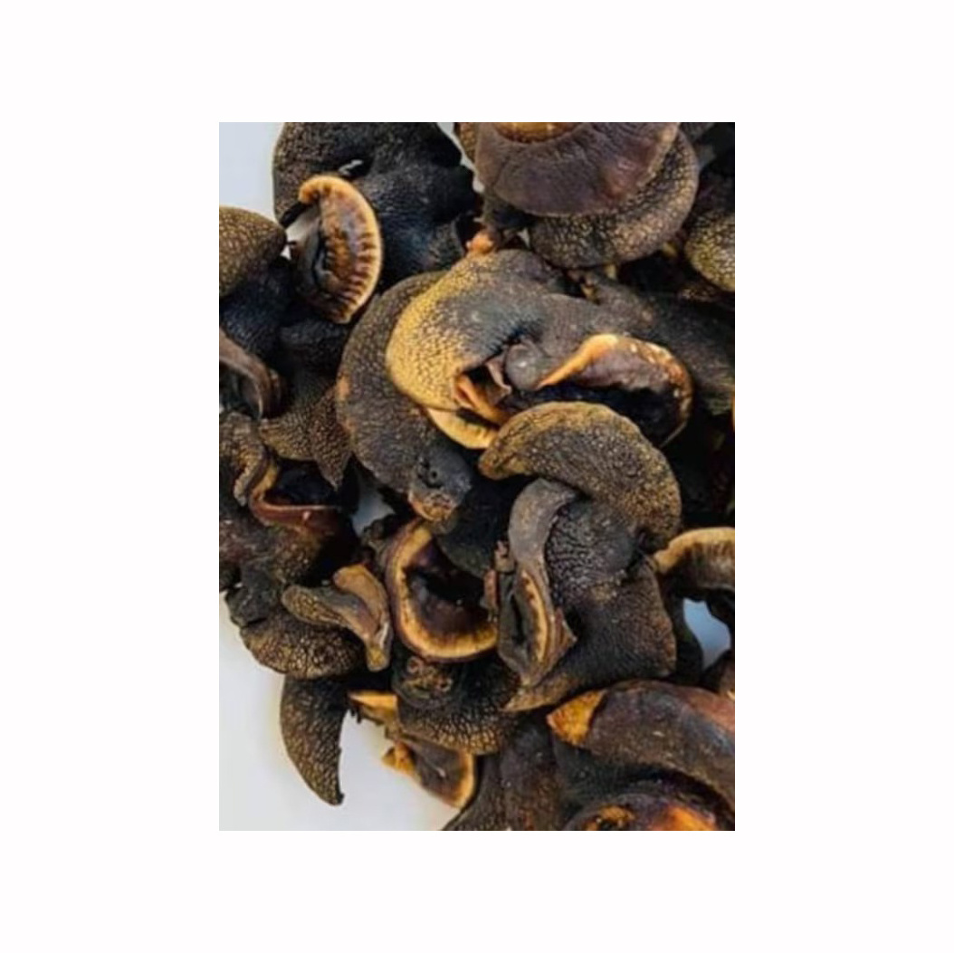 Dried African Giant Snails/Processed Dried African Snails for sale