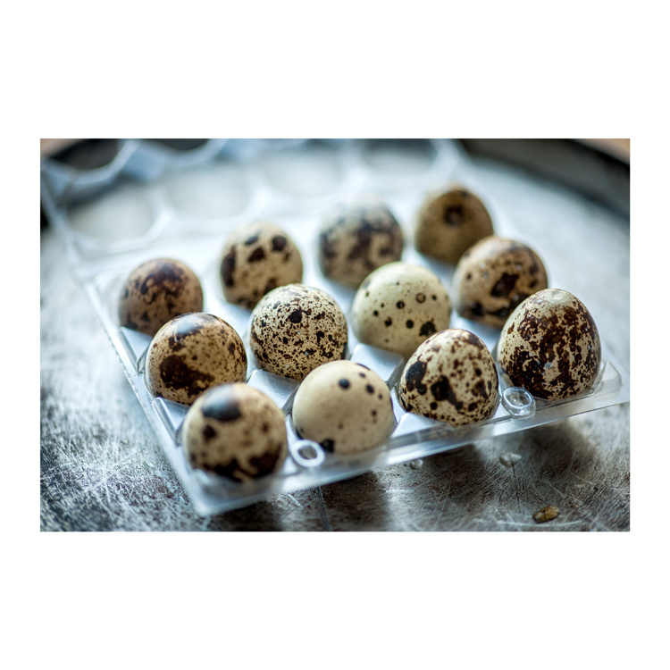 Quail egg feeding factory supply Weight of 425g 850g 3kg salted quail eggs canned quail eggs in brine water export for sale