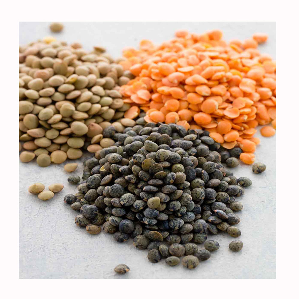 Pigeon Pea Split Too Dal Yellow Split Lentils Yellow toor dal yellow lentils