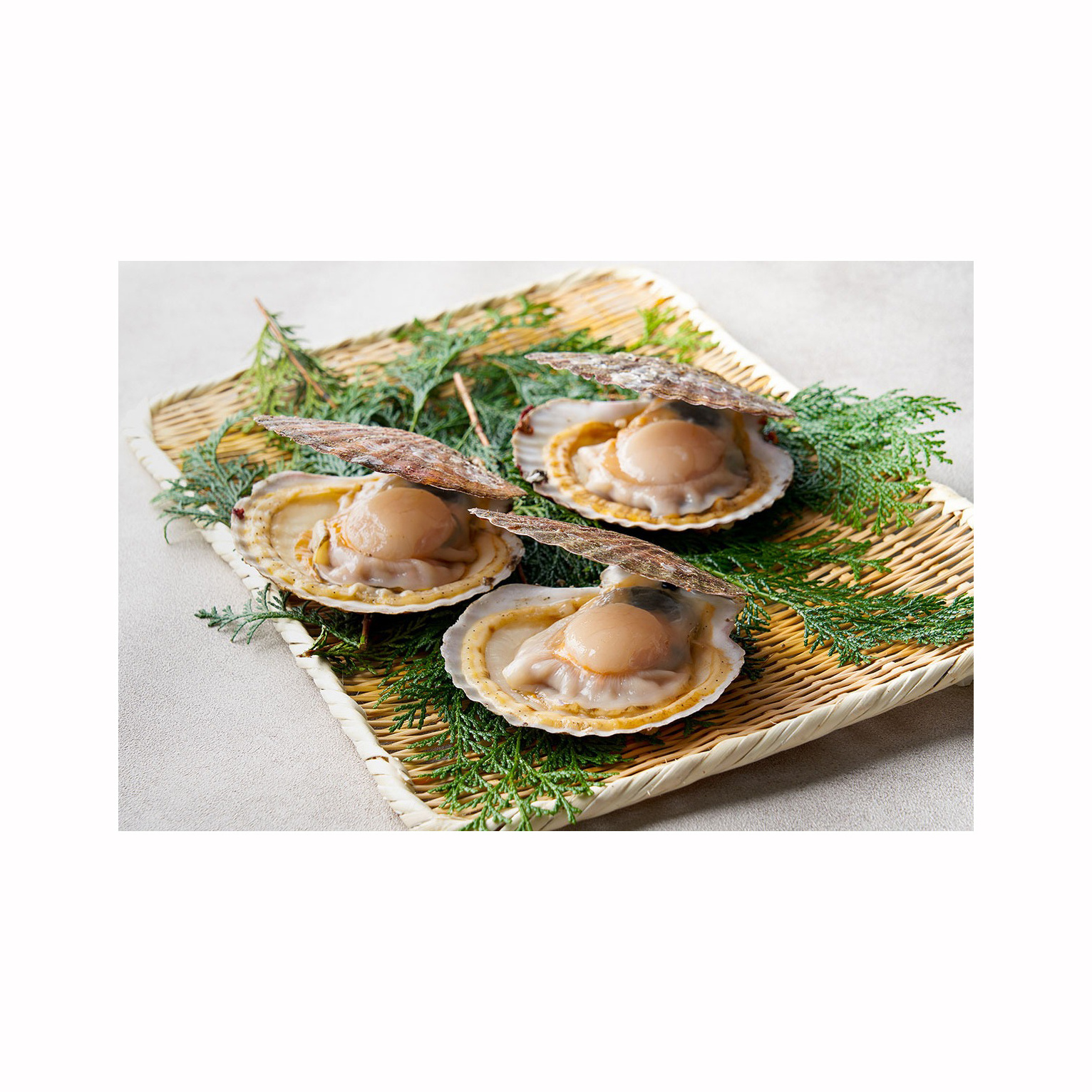 High quality nest mussels clams oyster blue mussel scallop clams good low price seafood