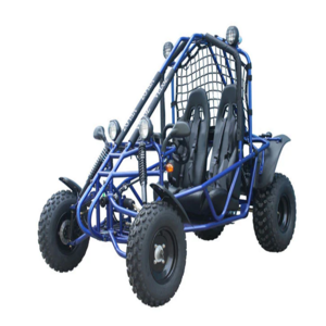 Cheap Adult Racing Go Kart Electric Dune Buggy Commerical Dune Buggy