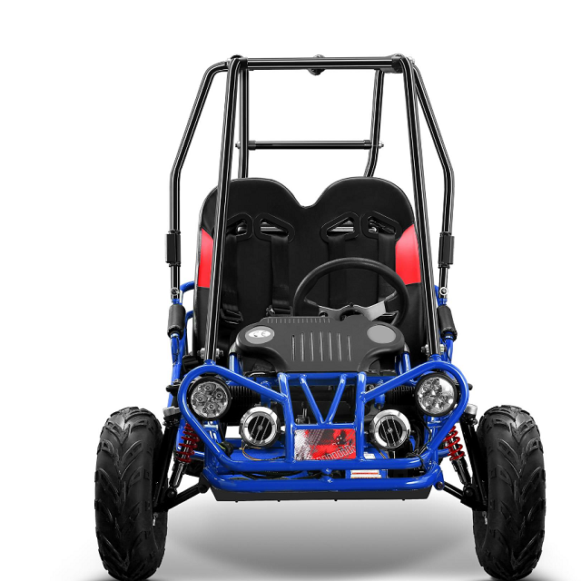 Highper 1000W 1500W 48V 60V electric gokart carting car karting 2 seat cheap go karts for sale