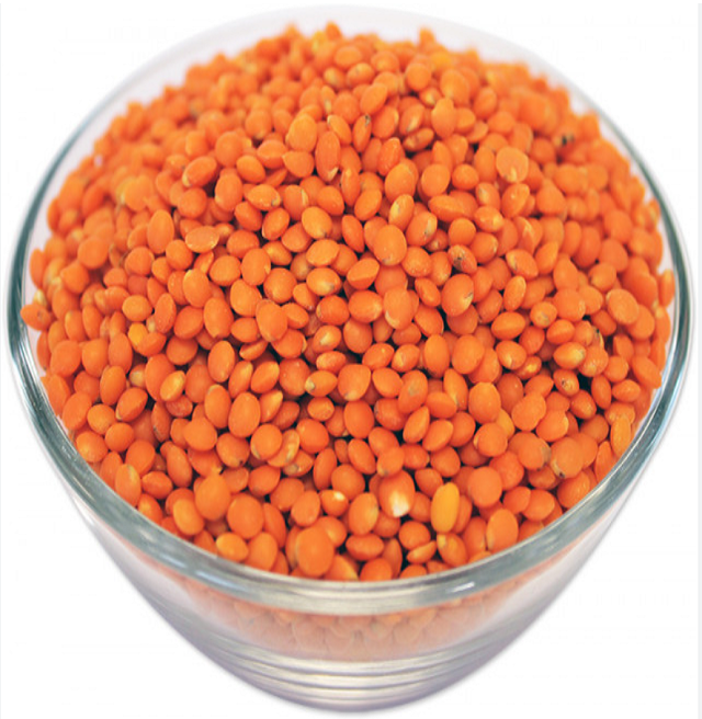 Wholesale Price Red Lentils / Split Red Lentils Available For Sale At Low Price Fresh Red Lentil for Bulk