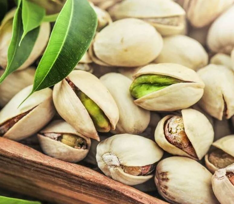 Pistachio Nut Raw With Shell Wholesale Raw and Roasted Pistachio Bulk Cheap Price Pistachio Nuts