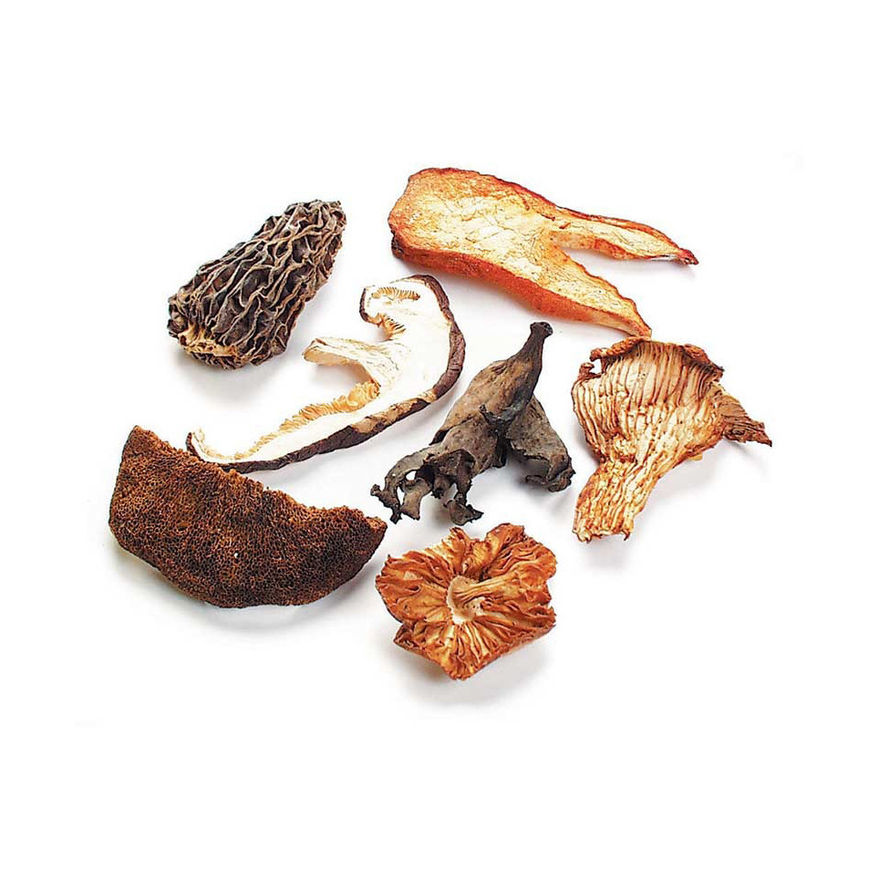 Factory Supplier OEM Private Label Various Mushroom Powder Reishi Lion's Mane Chaga Mushroom Powder Blend