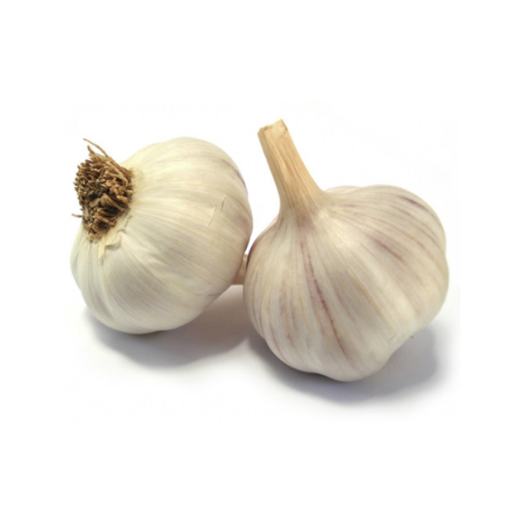 Best Quality new crop fresh garlic original supplier full dried goods wholesale price garlic in stock