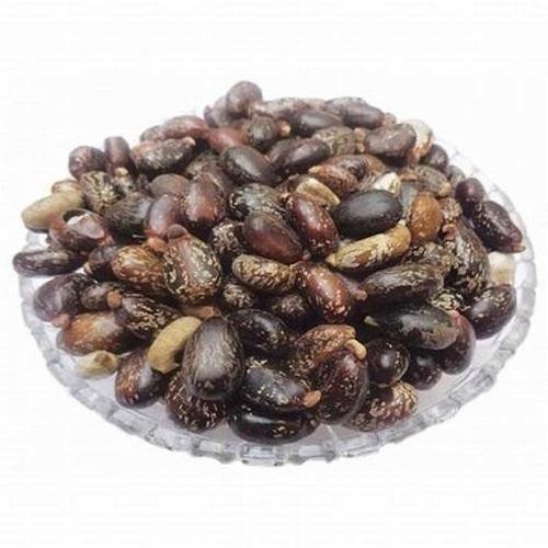 Castor Seeds 100% Natural And High Quality Dried Ricinus Communis Seeds Exporter From India