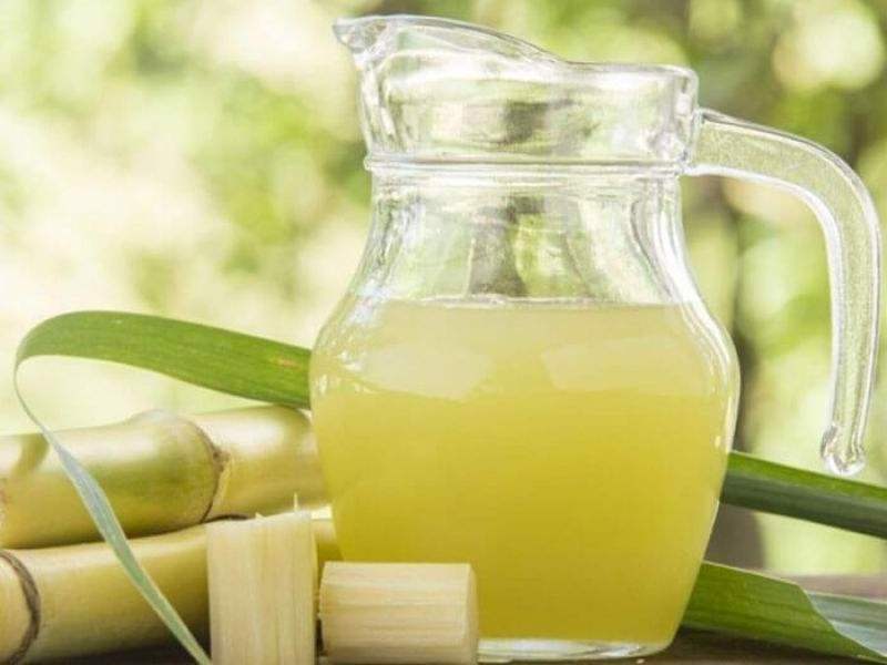 Vietnam frozen sugar cane 100% natural with best price MARY