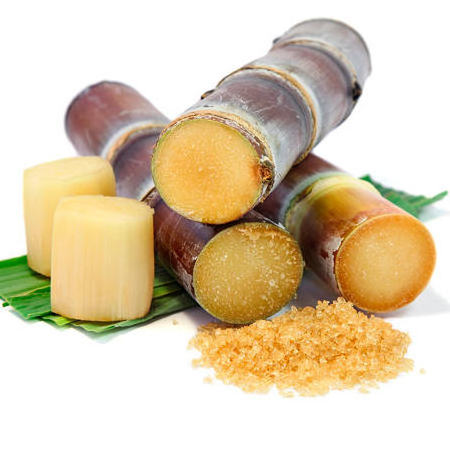 Vietnam frozen sugar cane 100% natural with best price MARY