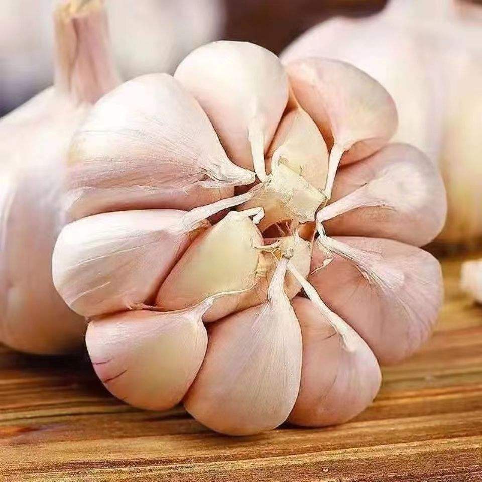 Buy huaran high quality new crop fresh garlic original supplier full dried goods wholesale price garlic in stock