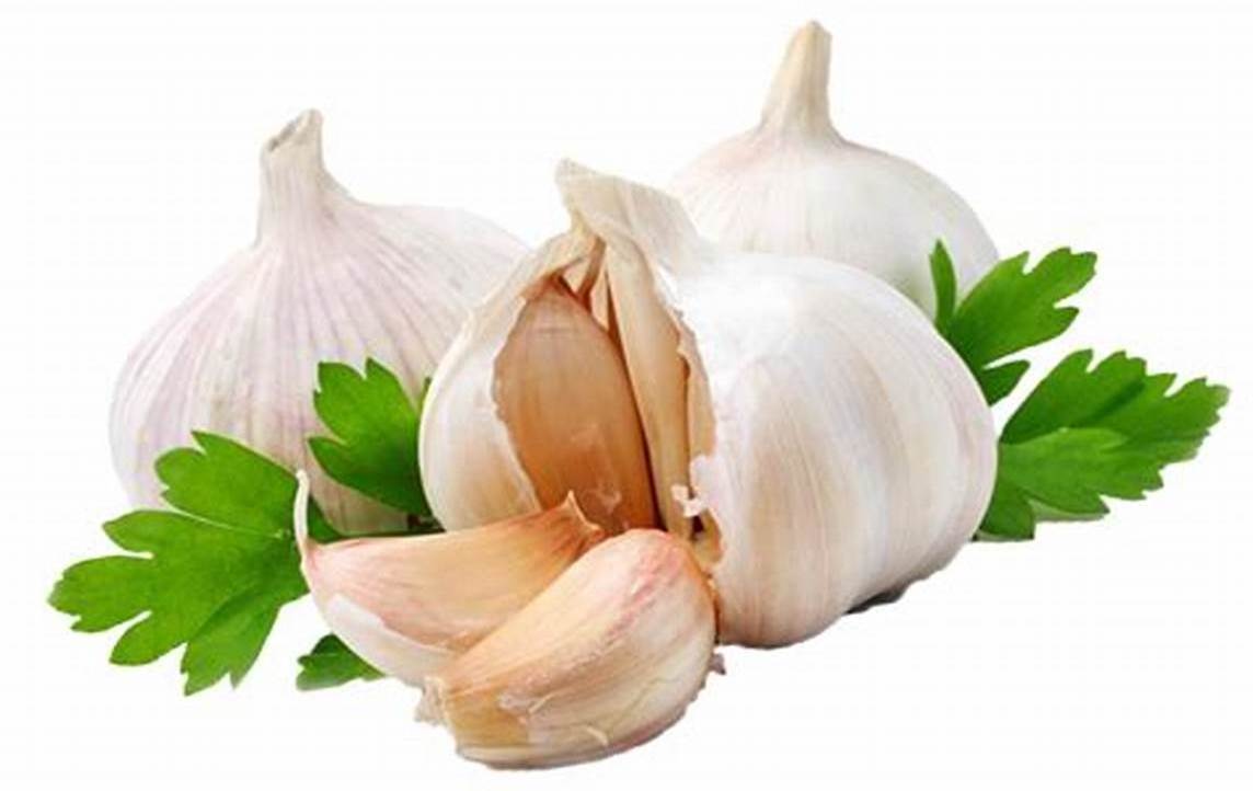 Quality Fresh Red Garlic and White Garlic