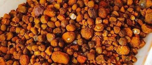 Top Sale Ox Gallstones Cattle Gallstones Cow Gallstones