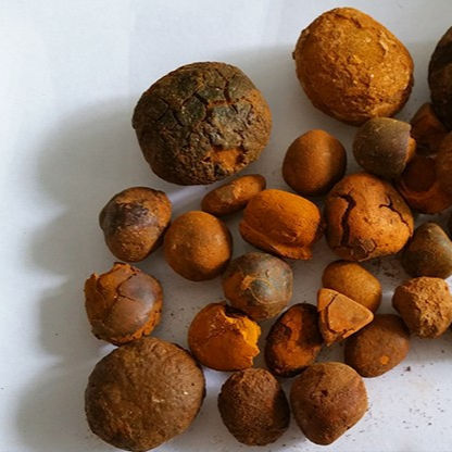 Wholesale 100% Natural Top Quality Ox Gallstones Cattle Gallstones Cow Gallstones for Sale